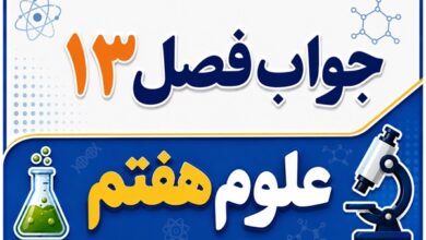 جواب فصل ۱۳ و درس سیزدهم علوم هفتم - سفر غذا