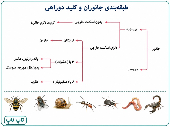 جواب فعالیت صفحه ۱۲۳ فصل ۱۱ علوم نهم
