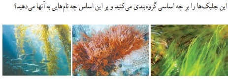 جواب فعالیت صفحه ۱۲۷ فصل یازدهم علوم نهم
