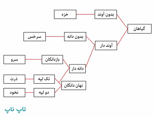 جواب فعالیت صفحه ۱۳۹ فصل ۱۲ علوم نهم
