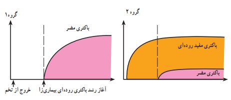 جواب فعالیت صفحه ۱۷۱ فصل پانزدهم علوم نهم
