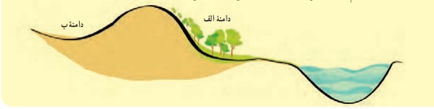 جواب فعالیت صفحه ۵۷ علوم هفتم
