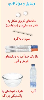 جواب فعالیت صفحه ۶۴ علوم تجربی چهارم 