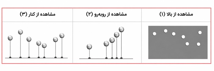 جواب فعالیت صفحه ۶۸ و ۶۹ علوم چهارم