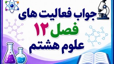جواب فعالیت های فصل ۱۲ علوم هشتم - سنگ ها