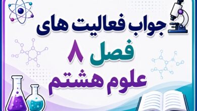 جواب فعالیت های فصل ۸ علوم هشتم - تولید مثل در جانداران