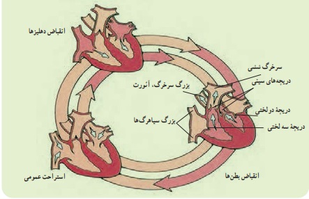 جواب فکر کنید صفحه ۱۲۸ علوم هفتم

