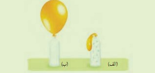 جواب فکر کنید صفحه ۲۴ علوم هفتم
