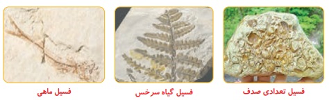 جواب فکر کنید صفحه ۳۴ علوم پنجم
