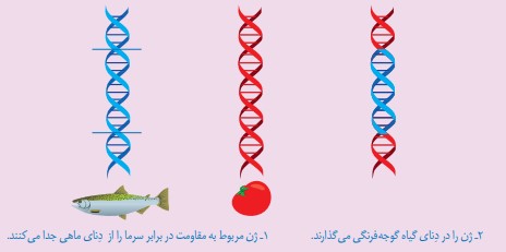 جواب فکر کنید صفحه ۶۲ فصل هفتم علوم هشتم
