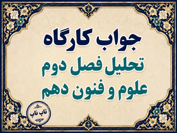 جواب کارگاه تحلیل فصل دوم علوم و فنون دهم صفحه ۵۶ تا ۵۸