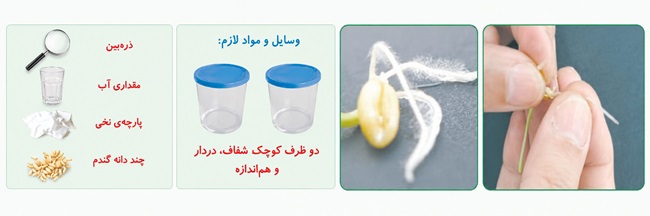 جواب کاوشگری صفحه ۱۰۰ و ۱۰۱ علوم پنجم
