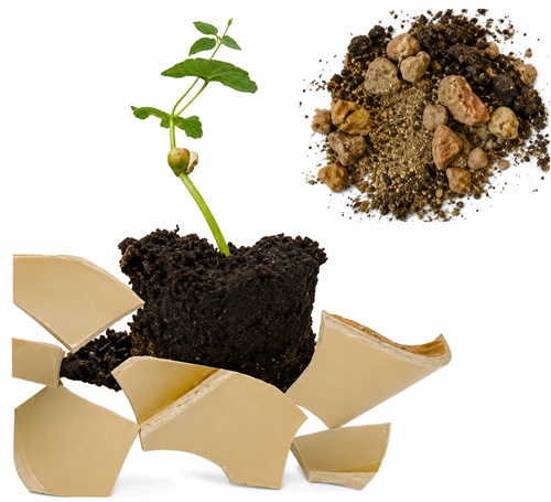 جواب کاوشگری صفحه ۸۱ علوم پنجم 