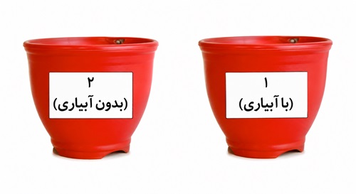 جواب کاوشگری صفحه ۹۱ و ۹۲ و ۹۳ علوم پنجم
