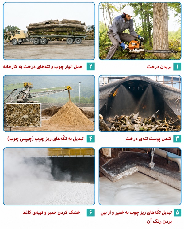 جواب گفت و گو صفحه ۱۰ علوم ششم
