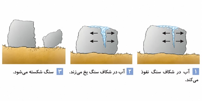 جواب گفت و گو صفحه ۸۳ علوم پنجم 