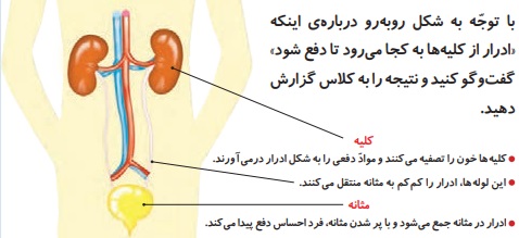 جواب گفت و گو صفحه ۹۱ علوم چهارم