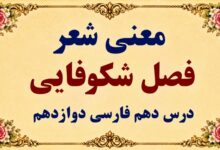 معنی و آرایه‌های شعر فصل شکوفایی درس دهم فارسی دوازدهم