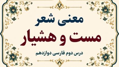 معنی و آرایه‌های شعر مست و هشیار درس دوم فارسی دوازدهم