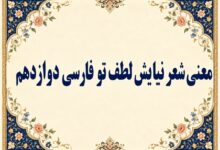 معنی و آرایه‌های شعر نیایش لطف تو فارسی دوازدهم صفحه ۱۶۵
