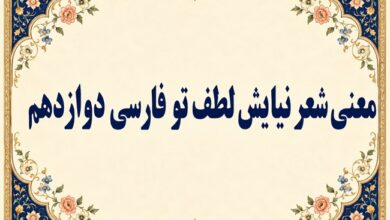 معنی و آرایههای شعر نیایش لطف تو فارسی دوازدهم صفحه ۱۶۵