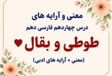 معنی و آرایه‌ های درس چهاردهم طوطی و بقال فارسی دهم