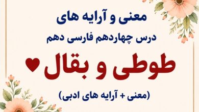 معنی و آرایه‌ های درس چهاردهم طوطی و بقال فارسی دهم