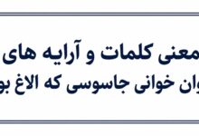 معنی کلمات و آرایه های روان خوانی جاسوسی که الاغ بود