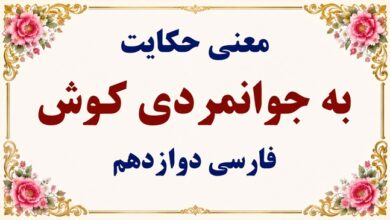 معنی گنج حکمت به جوانمردی کوش فارسی دوازدهم