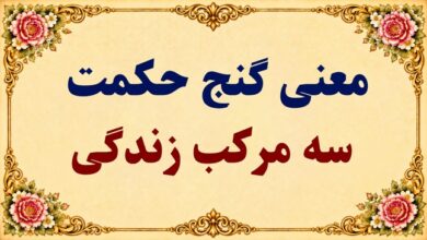 معنی گنج حکمت سه مرکب زندگی فارسی دوازدهم