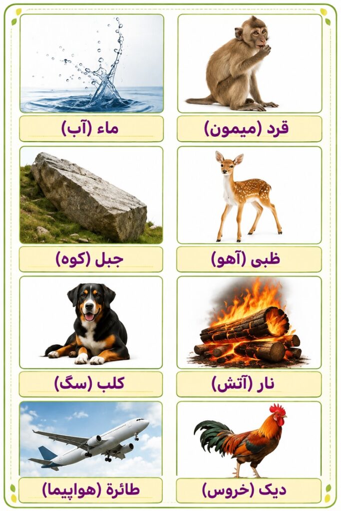 پاسخ تمرین برای خانه صفحه ۱۷ عربی هفتم