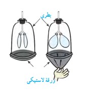 پاسخ فعالیت صفحه ۹۳ فصل هشتم علوم نهم

