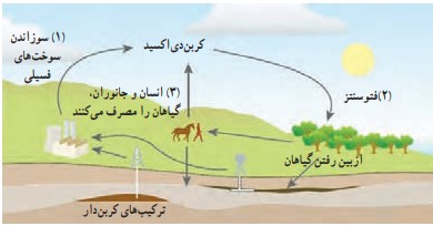 پاسخ فکر کنید صفحه ۲۷ فصل سوم علوم نهم
