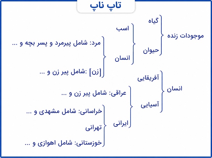 جواب فعالیت تکمیلی صفحه درس سوم منطق دهم انسانی