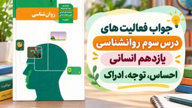 جواب فعالیت های درس سوم روانشناسی یازدهم احساس توجه ادراک