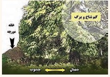 جواب فعالیت ۴ صفحه ۸۵ درس هشتم آمادگی دفاعی نهم 