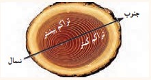 جواب فعالیت ۴ صفحه ۸۵ درس هشتم آمادگی دفاعی نهم 