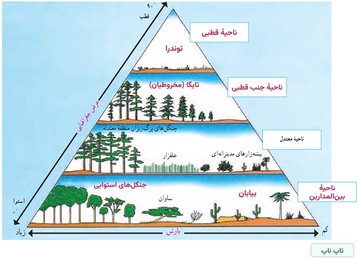 جواب کاربرگ شماره ۴ مطالعات نهم