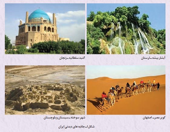 فعالیت ۱ صفحه ۱۰۴ انسان و محیط زیست یازدهم