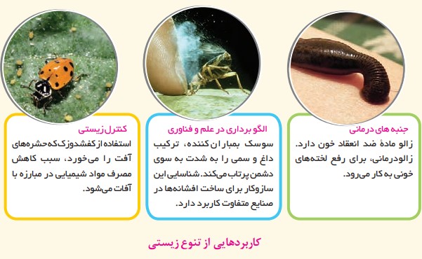فعالیت ۳ صفحه ۹۰ انسان و محیط زیست یازدهم