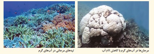 فعالیت ۷ صفحه ۵۵ و ۵۶ انسان و محیط زیست یازدهم
